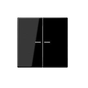 Tecla doble interruptor o conmutador con visor en negro Jung LS 990. Ref: LS995KO5SW