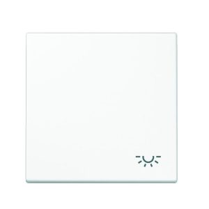 Tecla pulsador luz en blanco alpino mate Jung LS 990. Ref: LS990LWWM